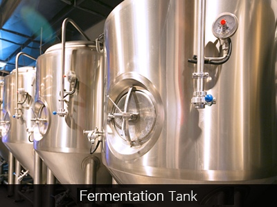 Fermentation_new Fermentation
