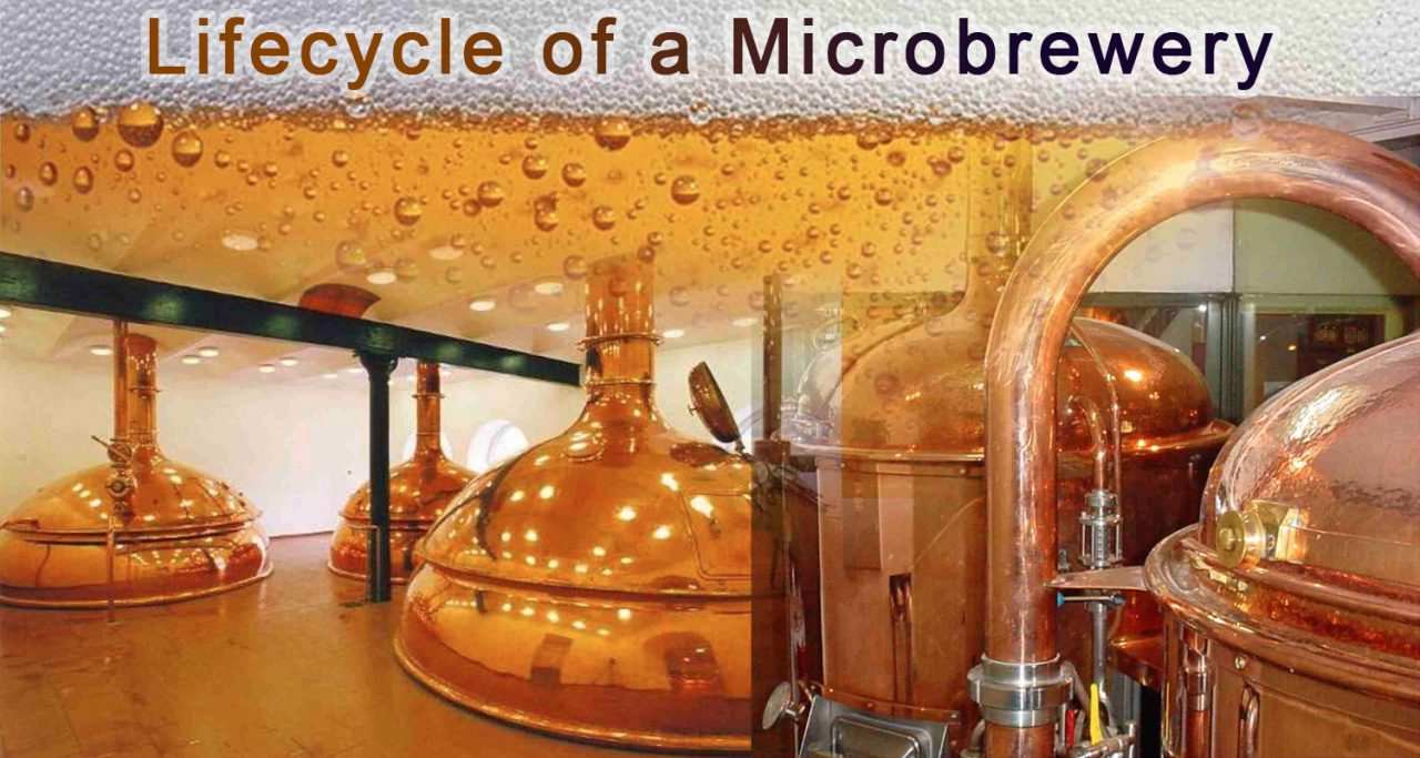 lifecycle of microbrewery in india | rohit jafa brewing solutions
