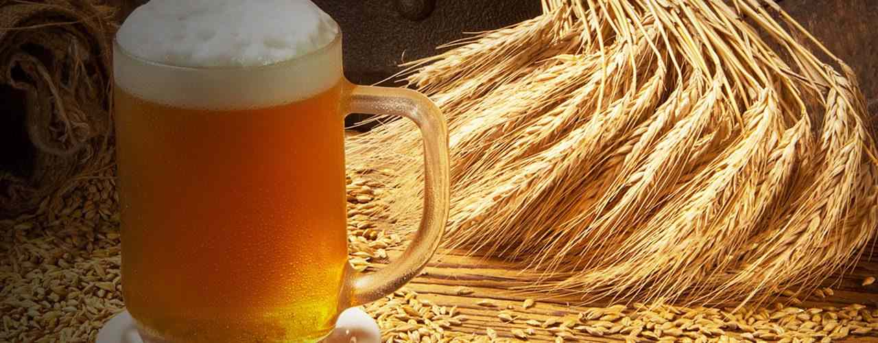 https://www.microbreweryindia.com/wp-content/uploads/2018/08/Barley-1280x500.jpg