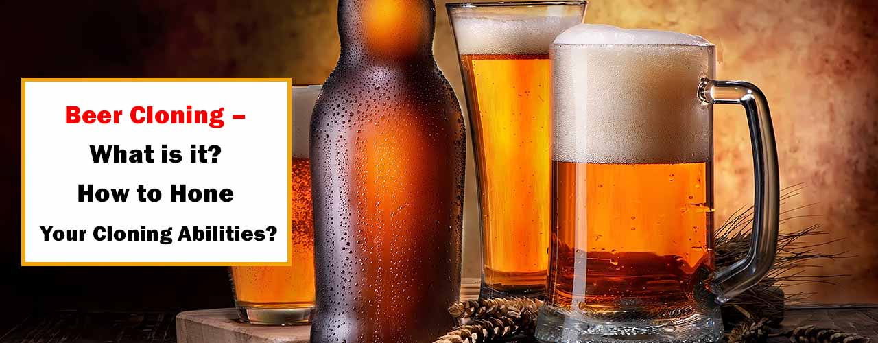 https://www.microbreweryindia.com/wp-content/uploads/2019/02/beer-cloning-1-1280x500-1.jpg