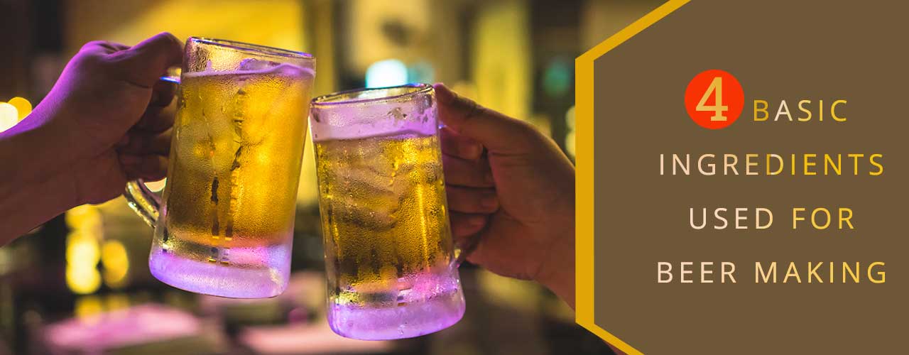 What’s in your Mug of Beer? Find Out Now