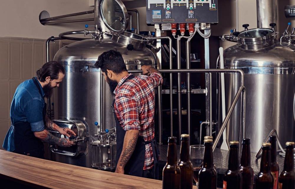 https://www.microbreweryindia.com/wp-content/uploads/2025/04/microbrewery-craft-knowing-difference-matters-1000x640.jpg