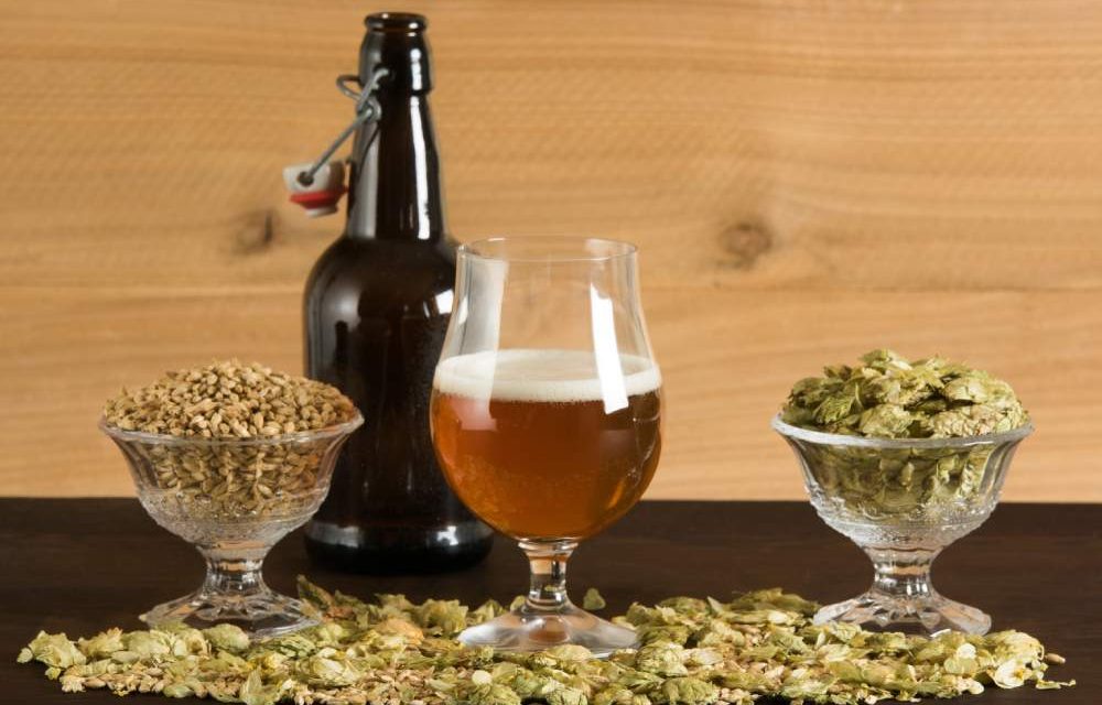 https://www.microbreweryindia.com/wp-content/uploads/2025/07/ayurveda-to-ale-brewery-plant-manufacturers-india-1000x640.jpg